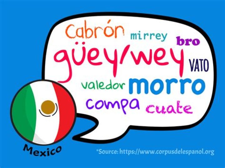 Uncover The Secrets Of "Vato" Spanish Slang: A Linguistic Journey