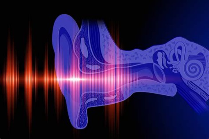 Unlocking The Secrets Of Hearing Restoration