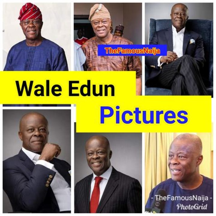 Unveiling The Odyssey Of Olawale Wale Edun: Age, Achievements, And Impact